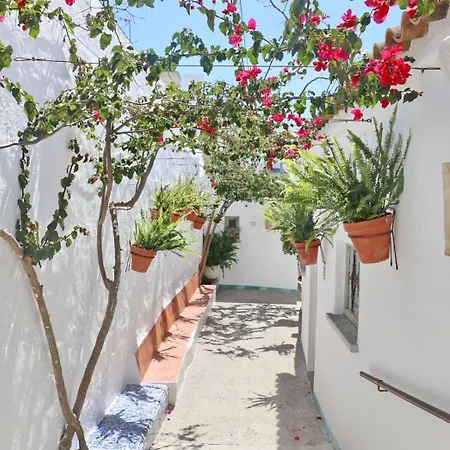 Complejo La Chanca, Hab 15 Appartement *